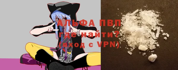 стаф Лабытнанги